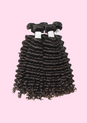 Burmese Curl